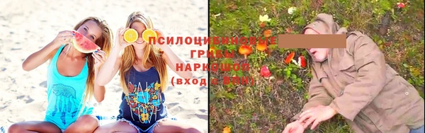крисы Киреевск