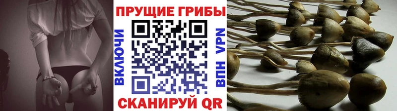Галлюциногенные грибы мухоморы  Лениногорск 