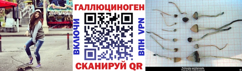 Галлюциногенные грибы мицелий Лениногорск